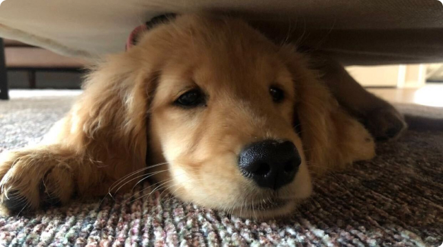 Value illustration 4